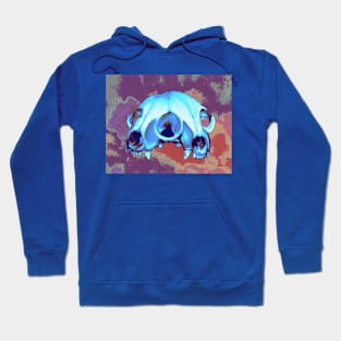 Janus Hoodie